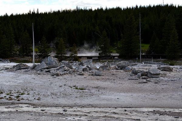 Porckchop Geyser Yellowstone