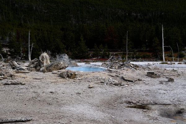 Porckchop Geyser Yellowstone