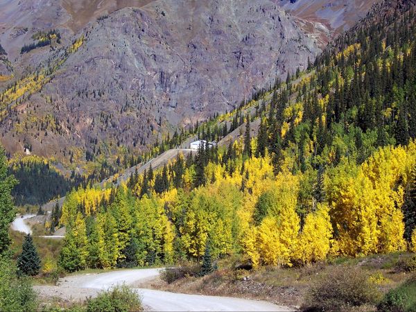 Couleurs automnales Animas Forks