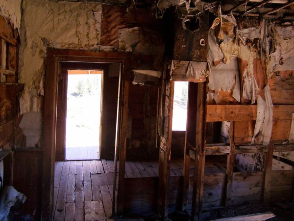 Urban Decay Animas Forks