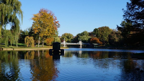 Public Garden Boston