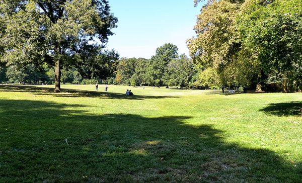 Long Meadow Prospect Park New York