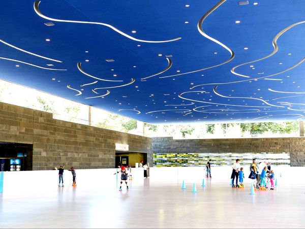 Patinoire estivale Prospect Park Brooklyn New York