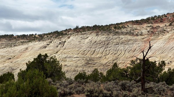 Deer Creek Burr Trail Road Utah