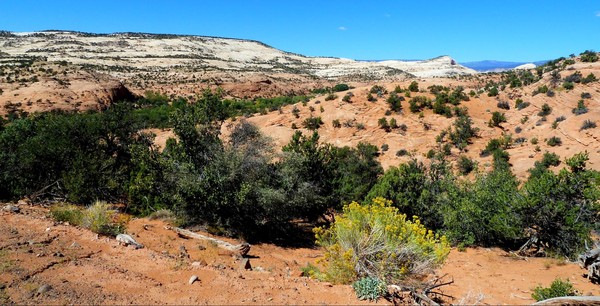 Lower Gulch Trail Utah