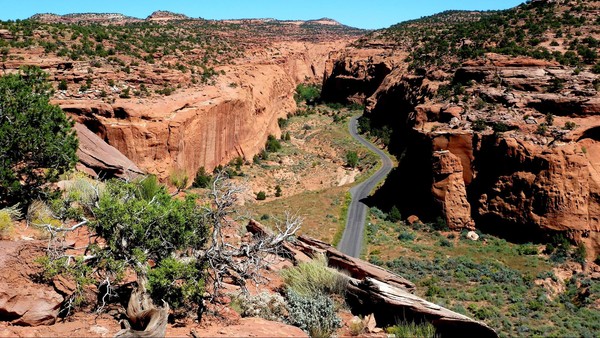 Long Canyon Burr TRail Road Utah