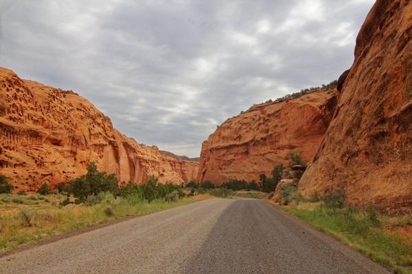 Desert Varnish Long Canyon Burr Trail Road Utah