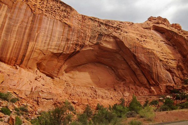 Desert Varnish Long Canyon Burr Trail Road Utah