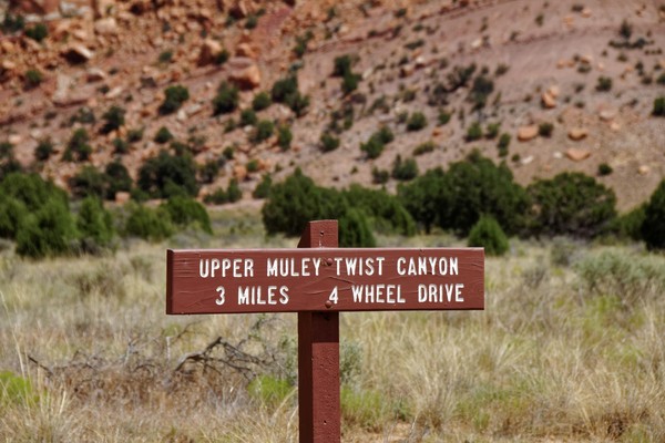 Panneau embranchement Upper Muley Twist Canyon Burr Trail Road Utah