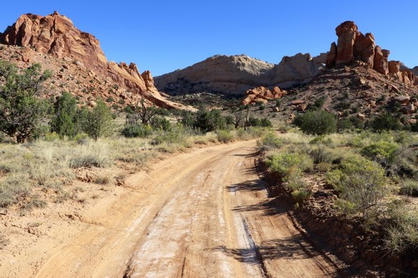 Upper Muley Twist Canyon Burr Trail Road Utah