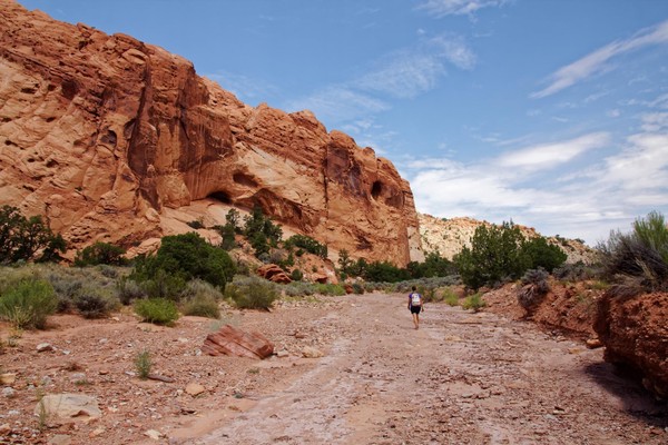 Upper Muley Twist Canyon Burr Trail Road Utah