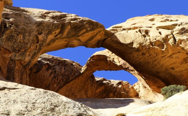 Arches Upper Muley Twist Canyon Burr Trail Road Utah