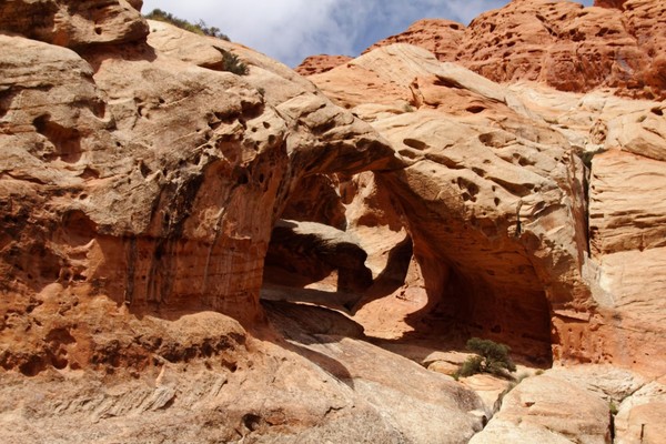 Arches Upper Muley Twist Canyon Burr Trail Road Utah