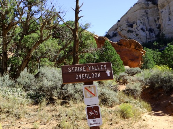 Panneau Strike Valley Overlook Upper Muley Twist Canyon Burr Trail Road Utah