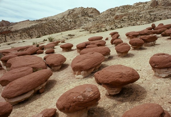 Hamburgers Rocks Halls Creek Overlook Burr Trail Road Utah