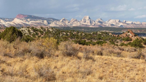 Paysage Notom Road Utah