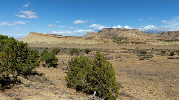Paysage Notom Road Utah