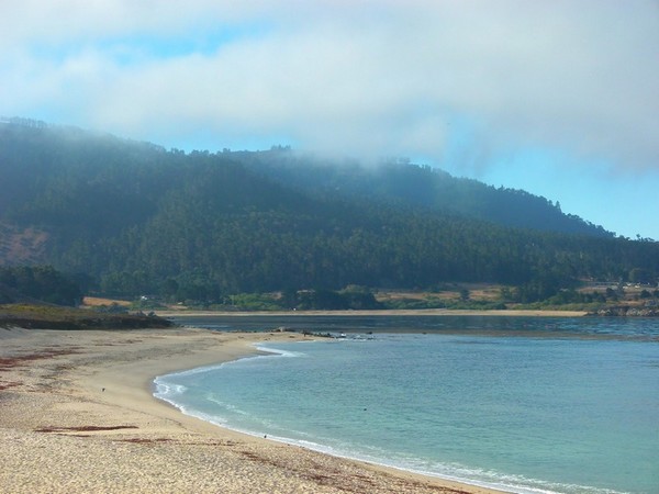 Carmel River State Beach