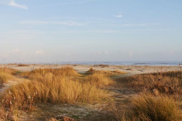 Sullivan Island Beach Charleston Caroline du Sud