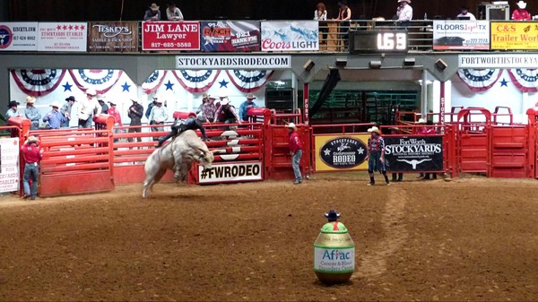 Bull Riding Stockyard Championship Rodeo Fort Worth Texas 