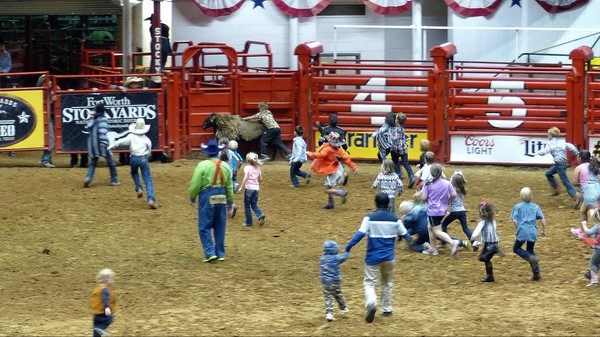 Mutton Scramble Stockyard Championship Rodeo Fort Worth Texas 