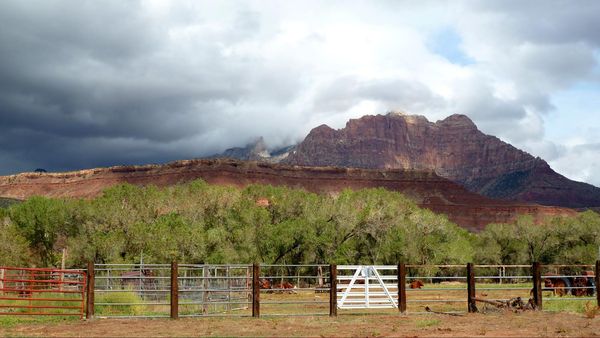 Grafton Ghost Town