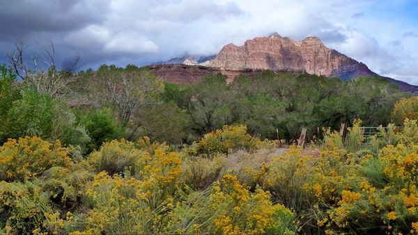 Paysages Grafton Ghost Town Utah