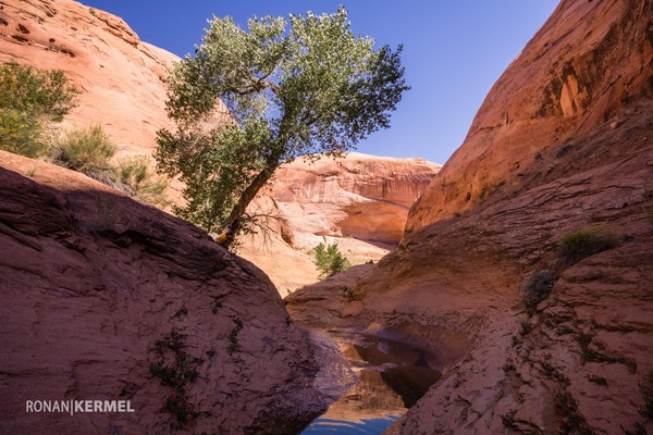 Randonnée vers Broken Bow Arch Utah