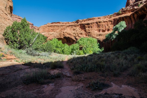 Marche vers Neon Canyon Hole in the Rock Road Utah