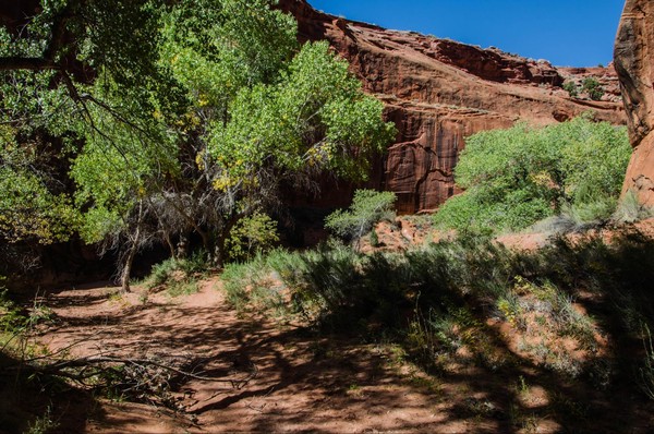 Marche vers Neon Canyon Hole in the Rock Road Utah