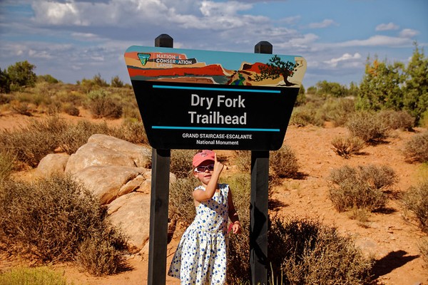 Panneau Dry Fork Trailhead