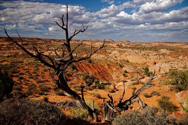 Dry Fork Trailhead Hole in the Rock Road Utah