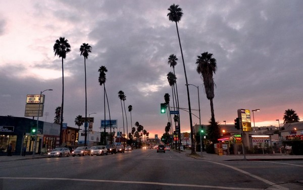 Crépuscule Sunset Boulevard Los Angeles