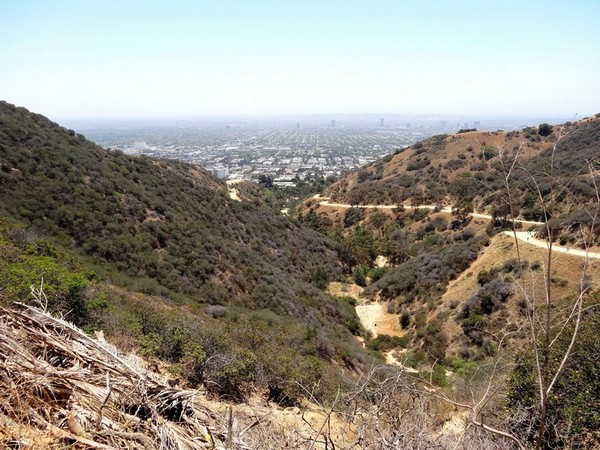 Runyon Canyon Park Hollywood