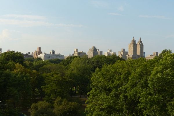 Rooftop MET New York
