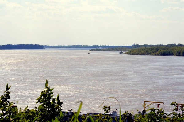 Vue sur le Mississippi depuis le Chickasaw Heritage Park