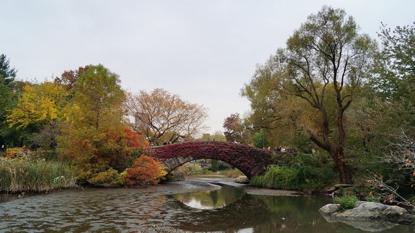 Central Park New York