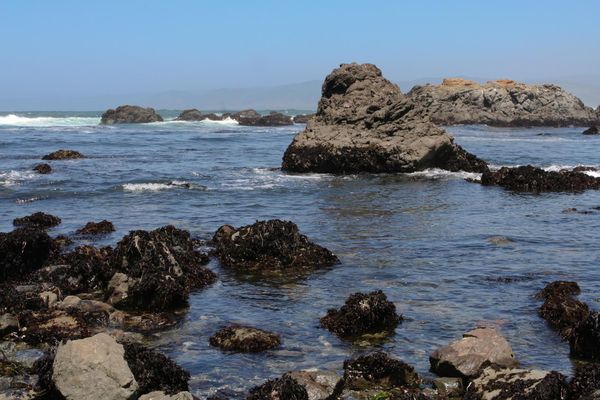 Tide Pools, Mackerricher State Park Pacific Coast Highway Californie