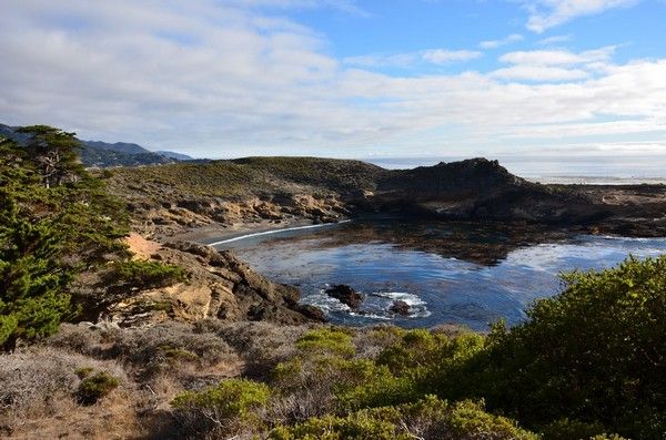 Point Lobos State Natural Reserve Californie
