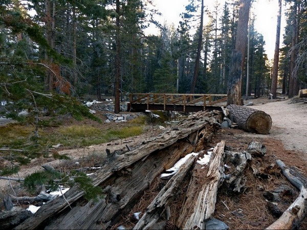 Mount San Jacinto State Park
