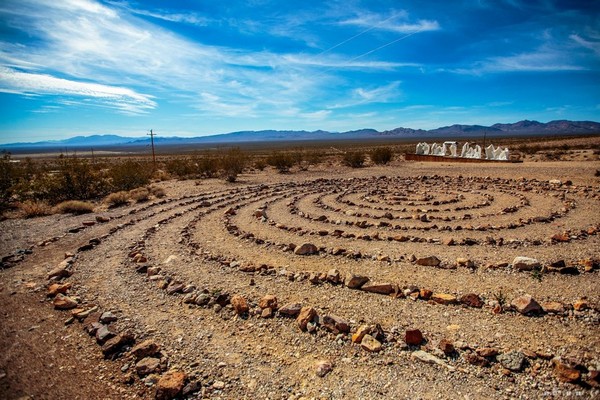 Desert Flower Rhyolite Ghost Town