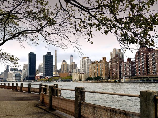 Vue sur Manhattan depuis Roosevelt Island New York