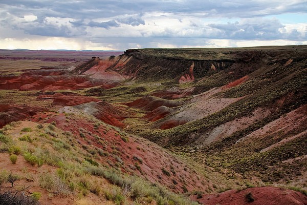 Painted Desert Petrified Forest Arizona