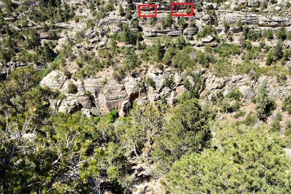 Vestiges Walnut Canyon National Monument Arizona