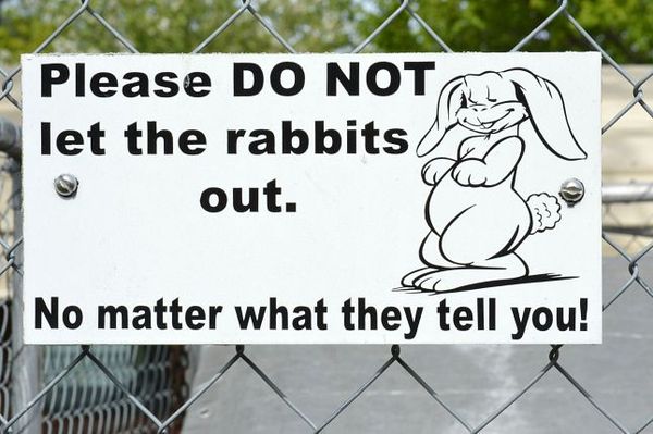 Henry’s Ra66it Ranch