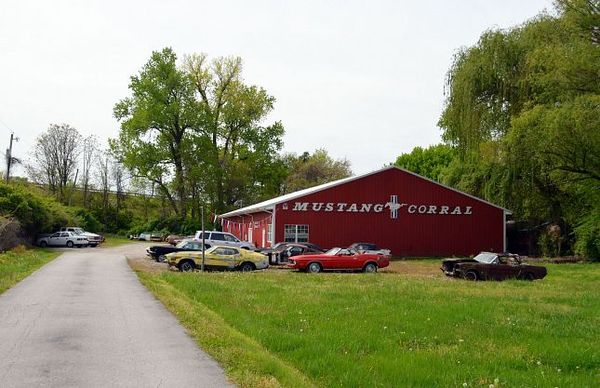 Mustang Coral Edwardsville Route 66