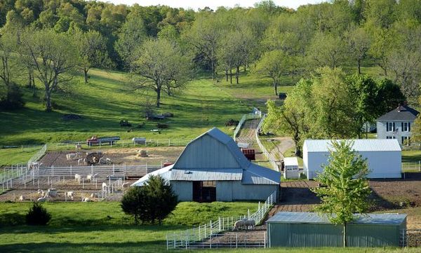 paysages fermiers et verdoyants Route 66 Missouri