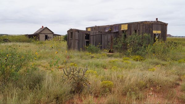 Cuervo Route 66 Nouveau-Mexique