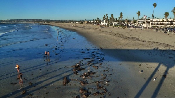 Ocean Beach San Diego