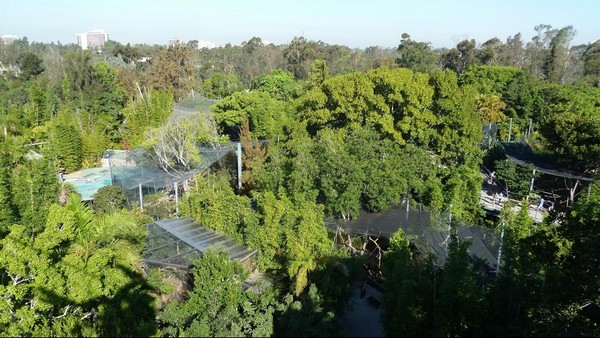 Le zoo vue du Skyfari San Diego